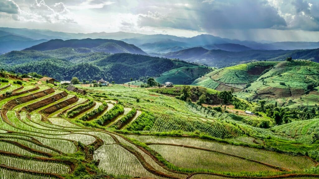 Rizières en terrasse à mae chaem en thailande