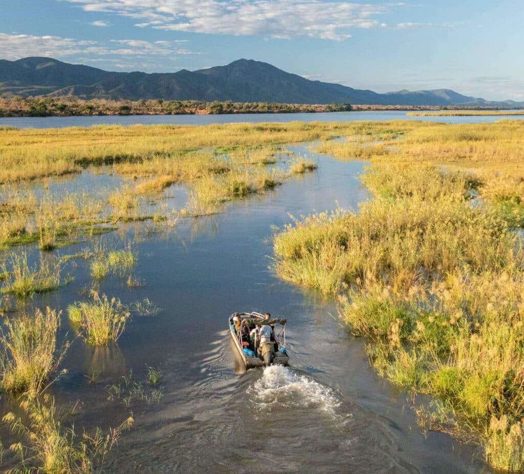 Safari poisson tigre sur le Zambeze depuis le Chongwe camp