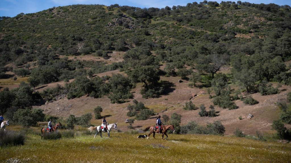 Safari équestre en terres ibériques Espagne ©George Scott Rides randonnée à cheval