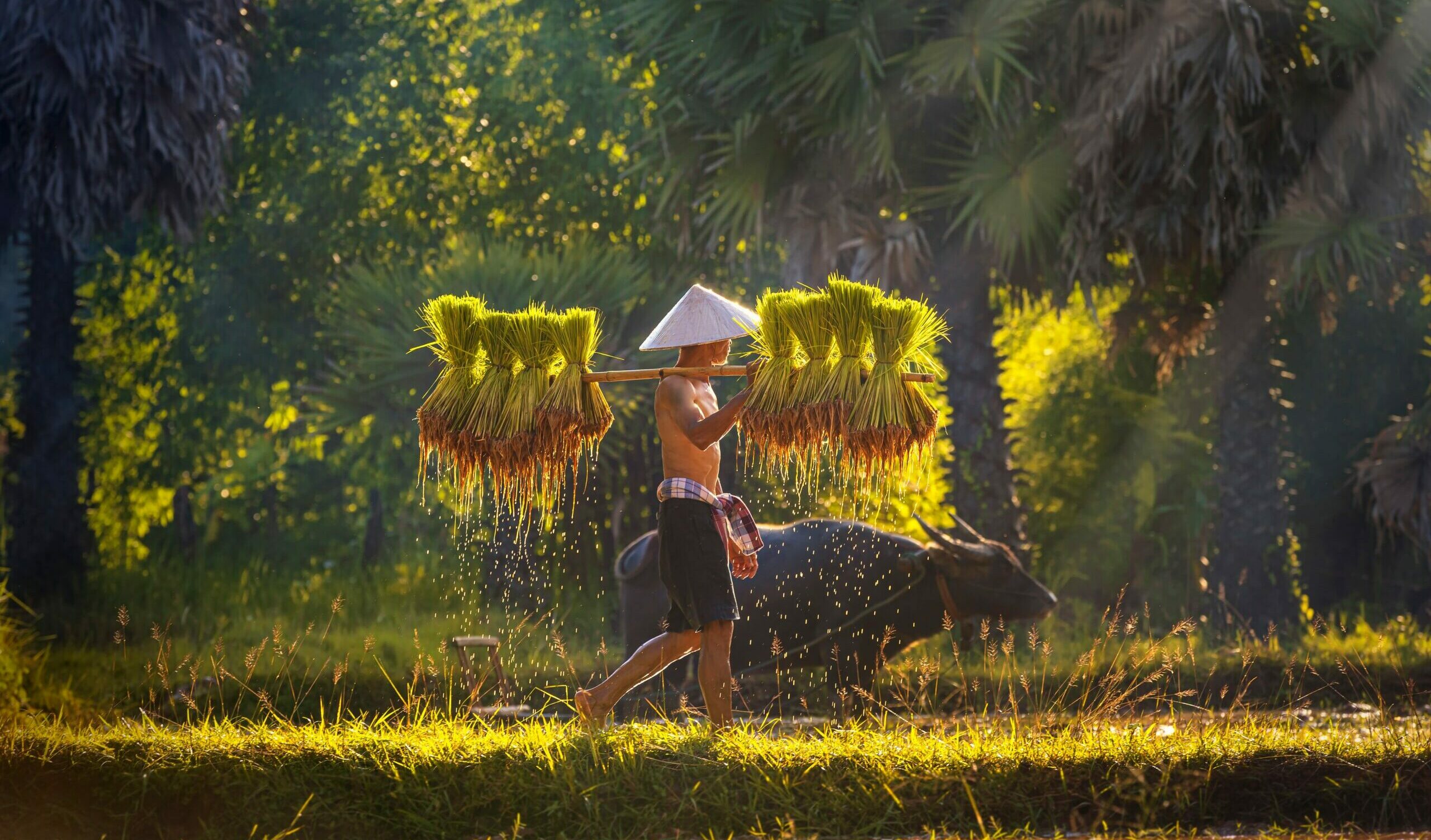 Laos