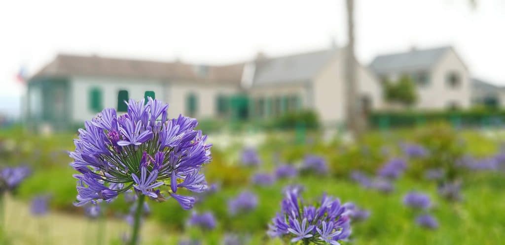 Vallée du geranium Longwood House Sainte helene