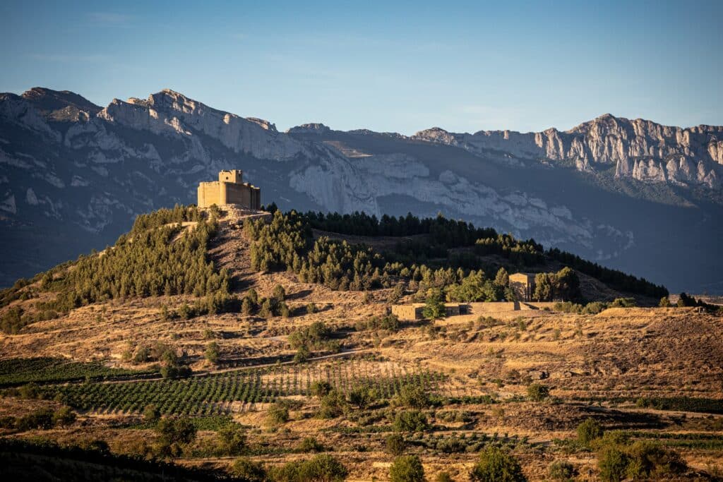 Vignobles region la rioja espagne