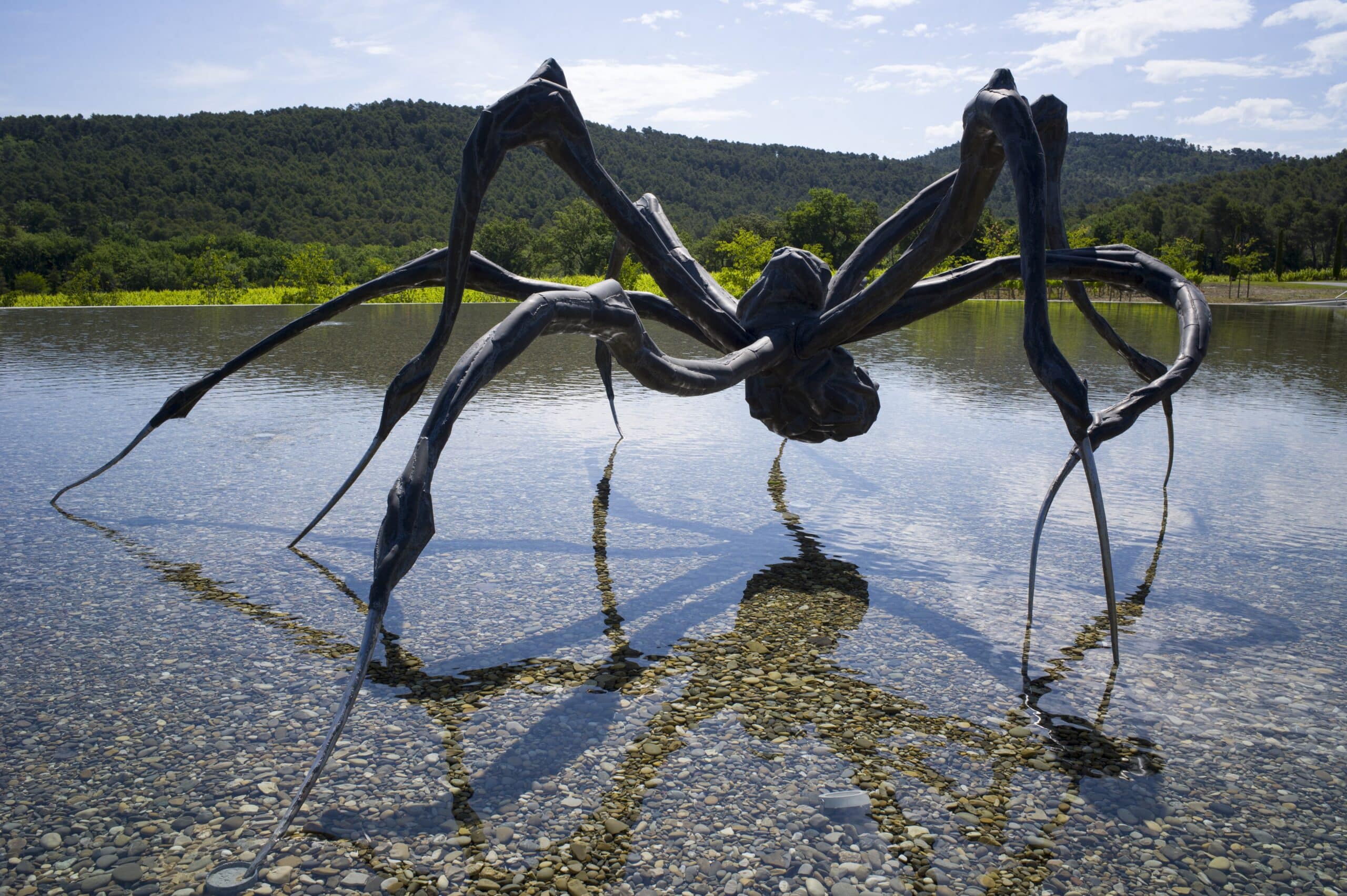 Photo d'une sculpture d'araignée