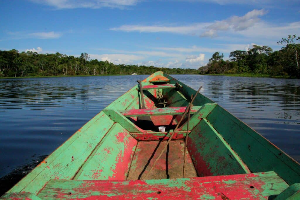 Vue de l'Amazonie au fil de l'eau, depuis une barque, le long du fleuve Bani dans le parc national de Madidi, en Bolivie.