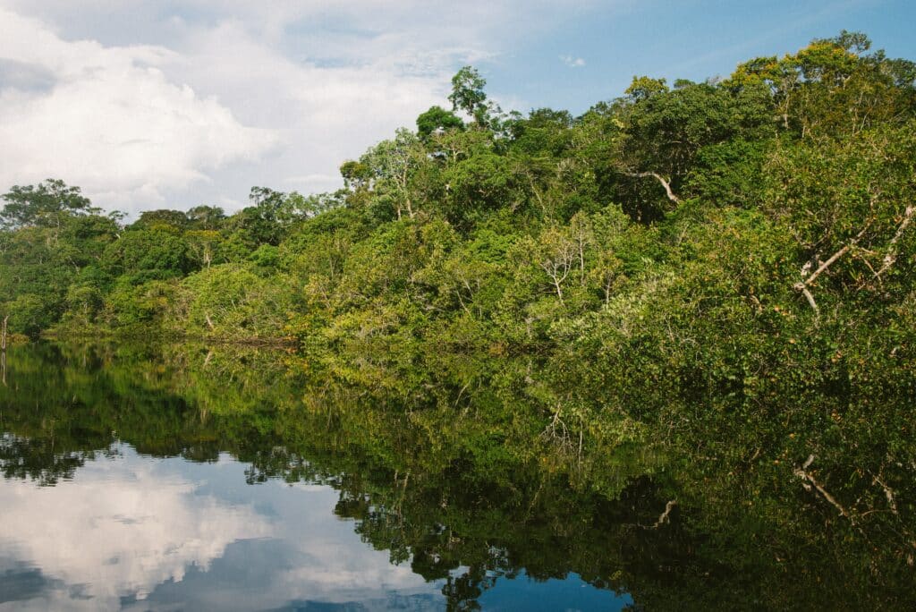 Mangrove du Madidi National Park en Amazonie bolivienne.