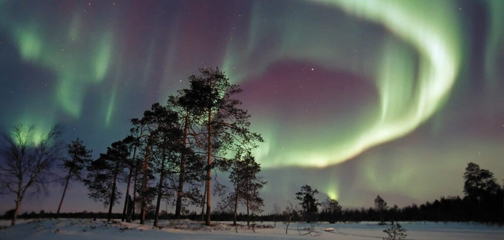 aurores boreales nuit foret finlande