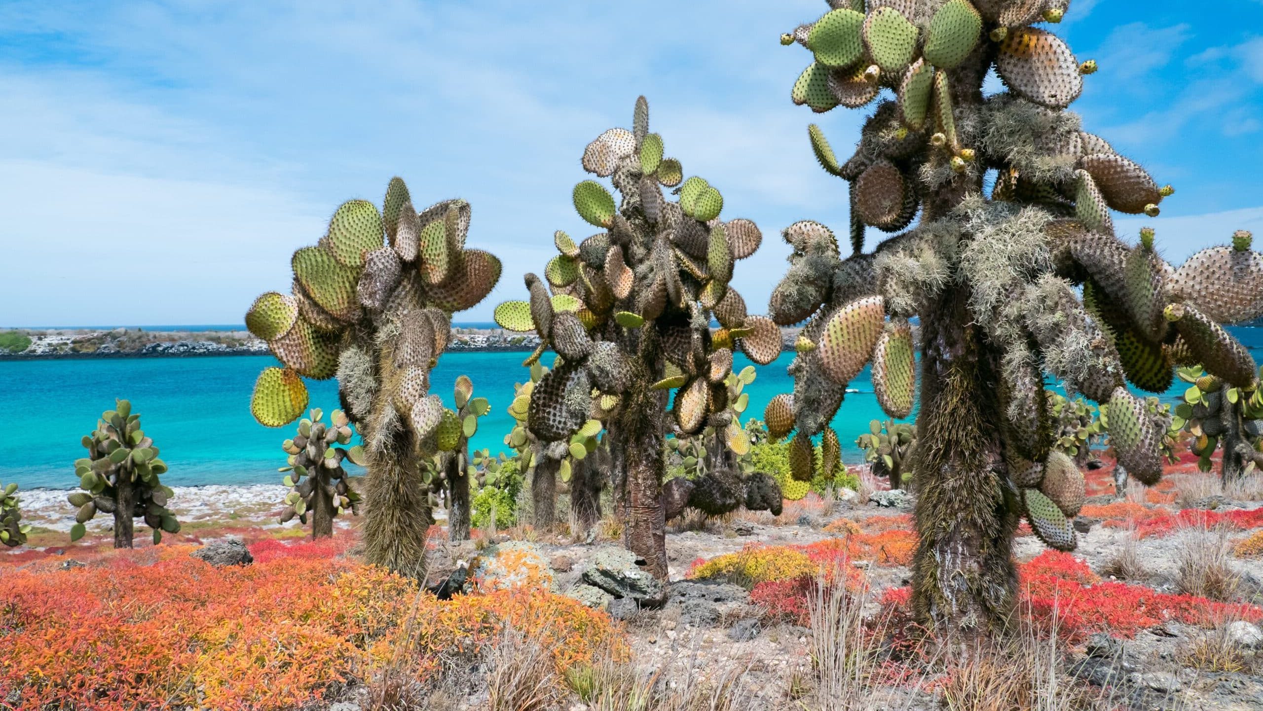 Equateur Galapagos