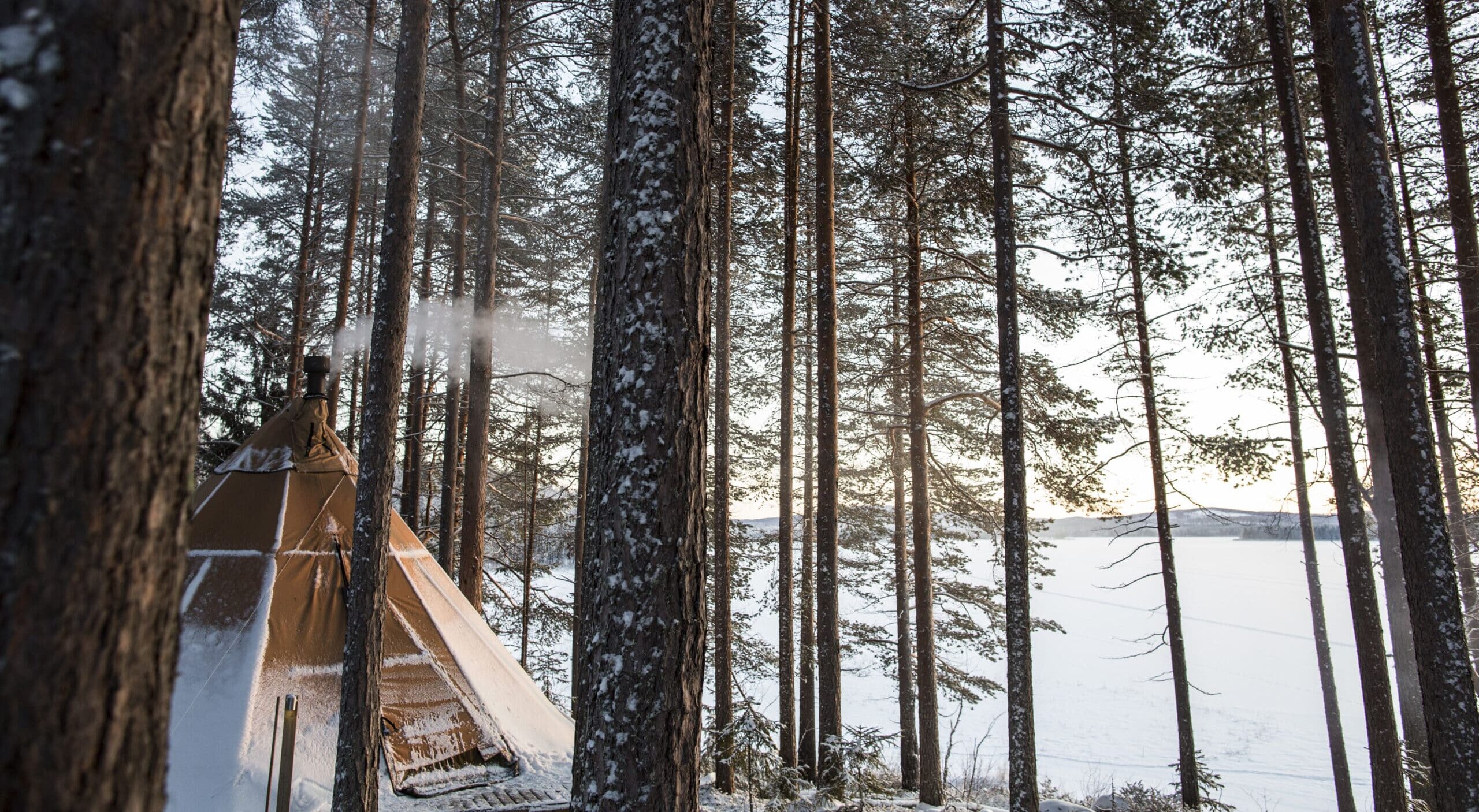 Photo de jour sur le tipi du Aurora safari camp dans la forêt.