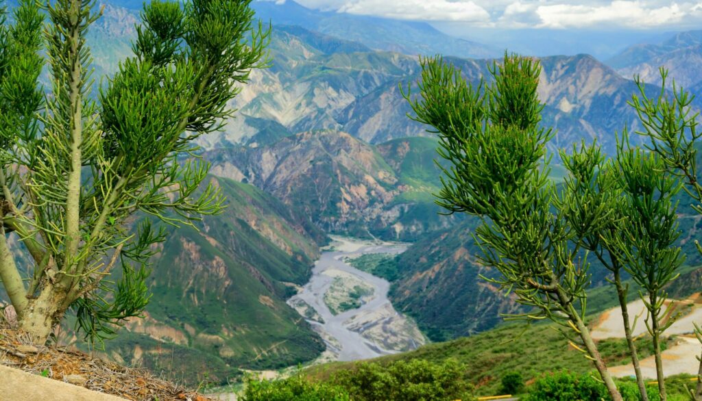 canyon chicamocha colombie