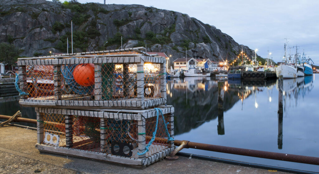 Grebbestad,Lobster,Pots,Swedish,West,Coast