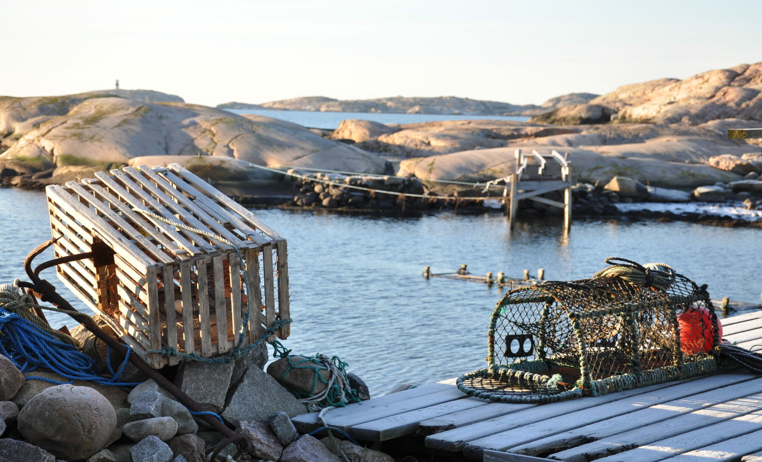 Partie de pêche à l’or noir