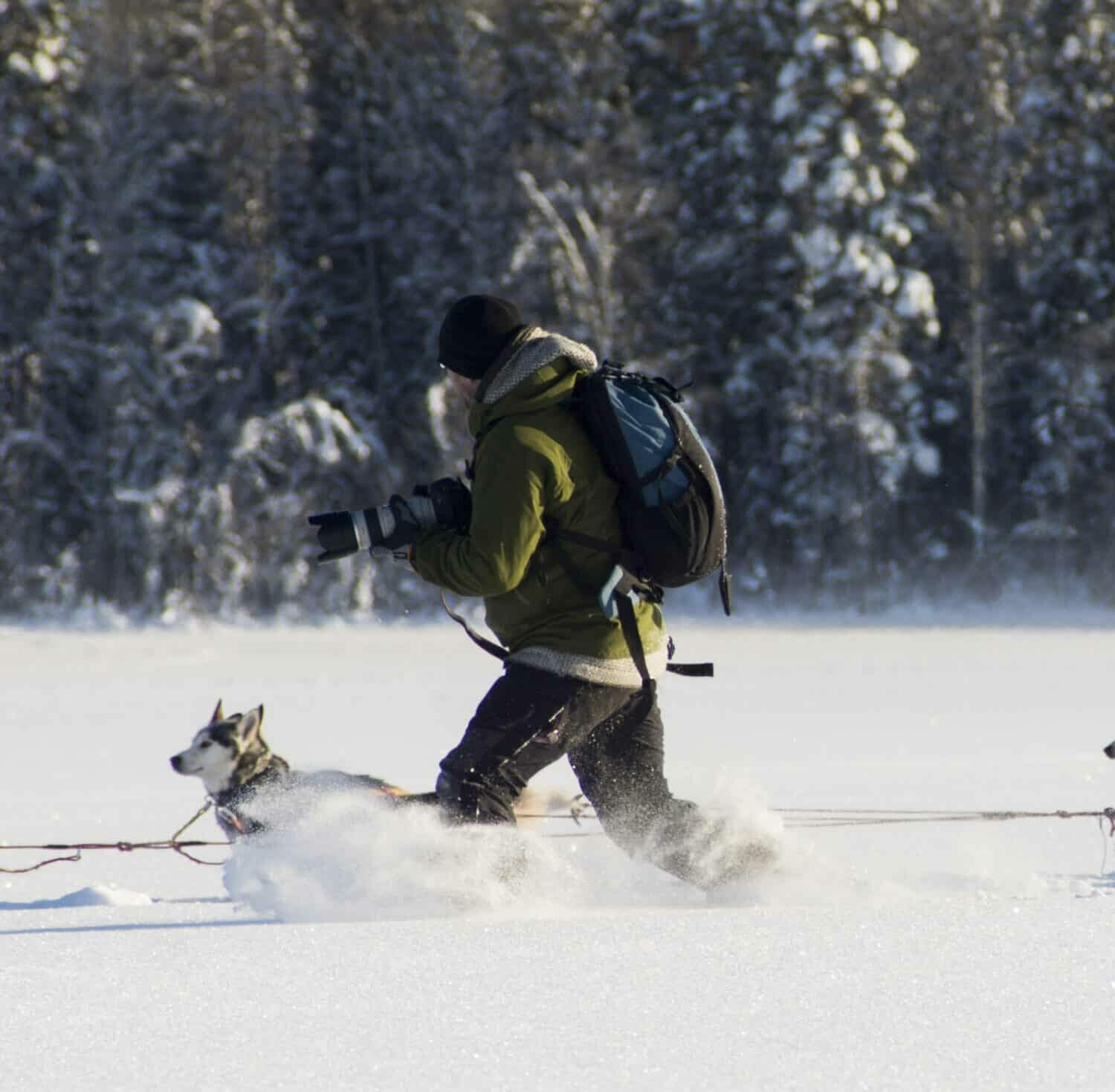 Photo d'un randonneur et de deux huskies en Suède.