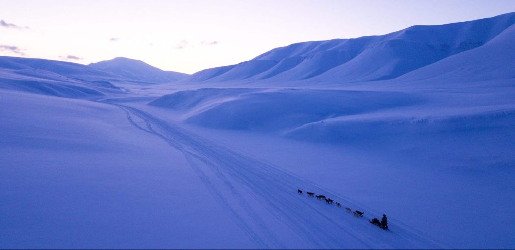 chiens traineau banquise pôle Nord Spitzberg Svalbard Norvège