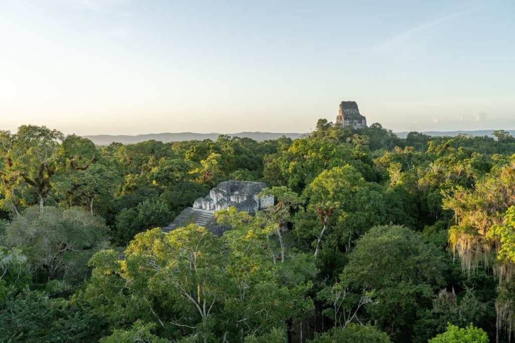 cite maya tikal guatemala