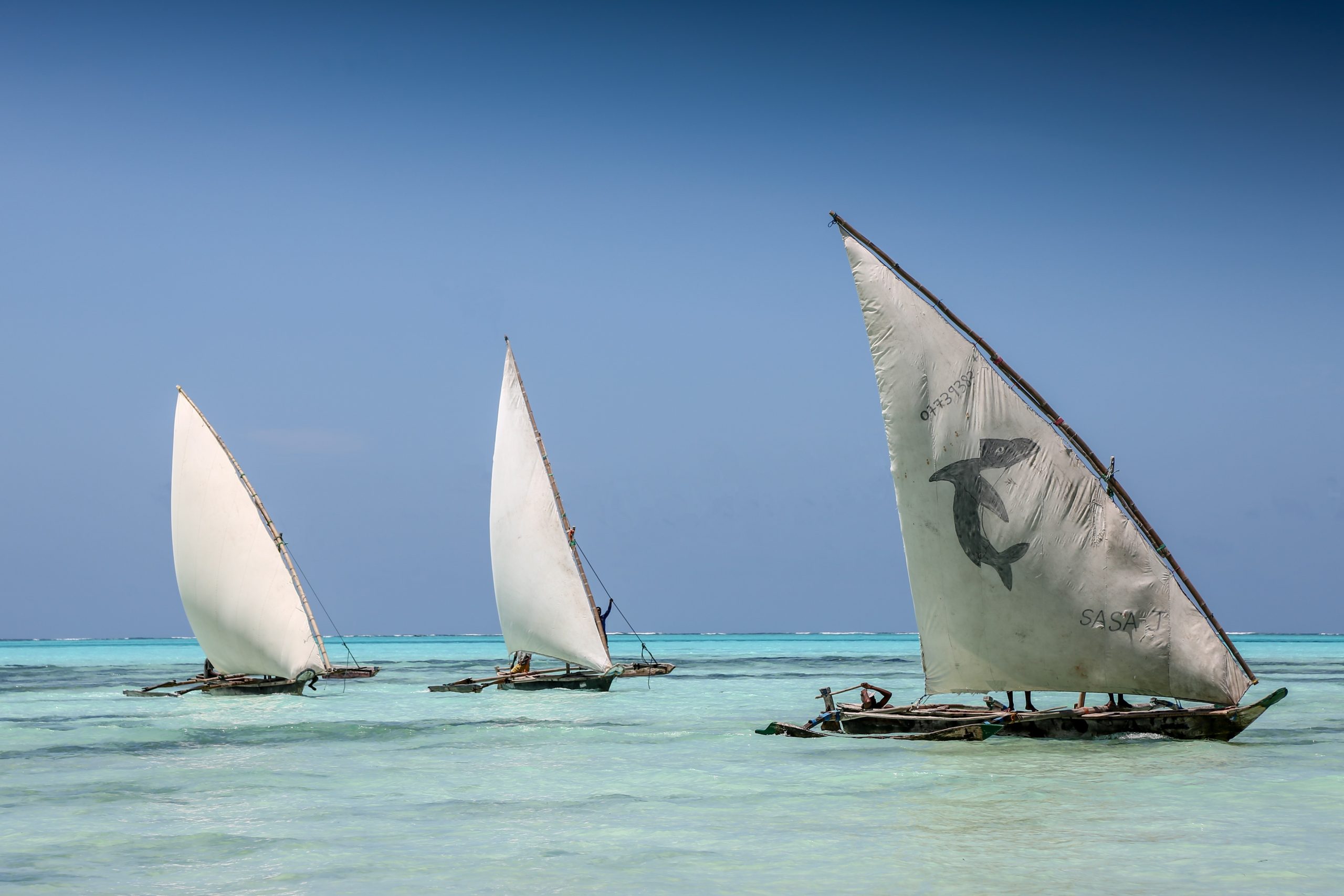 3, 2, 1, voiles au vent !