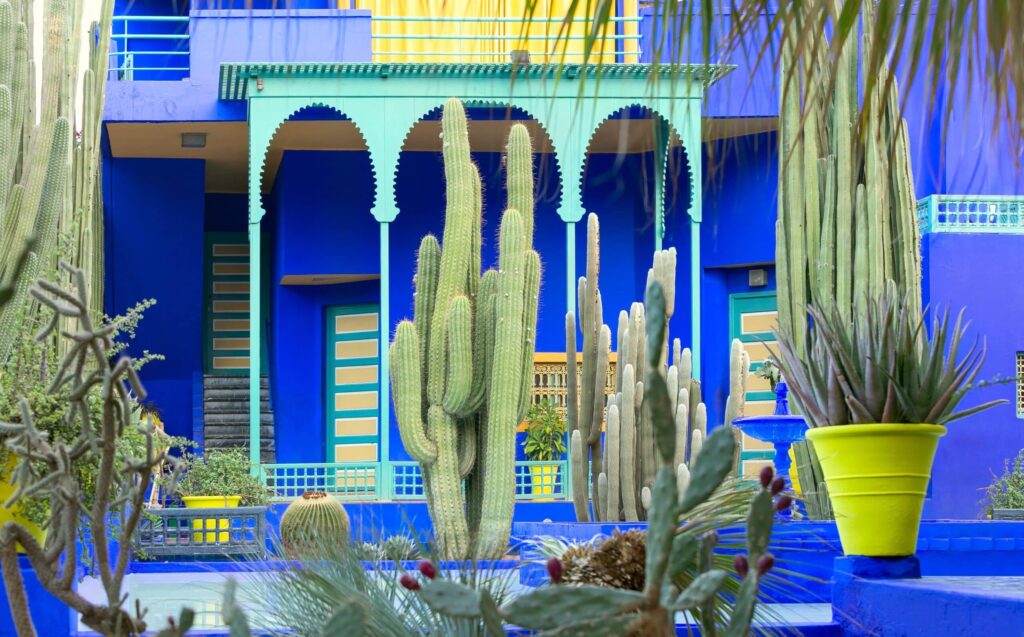 Le,Jardin,Majorelle,,Marrakech,,Morocco,,Amazing,Tropical,Garden,In,Marrakech,