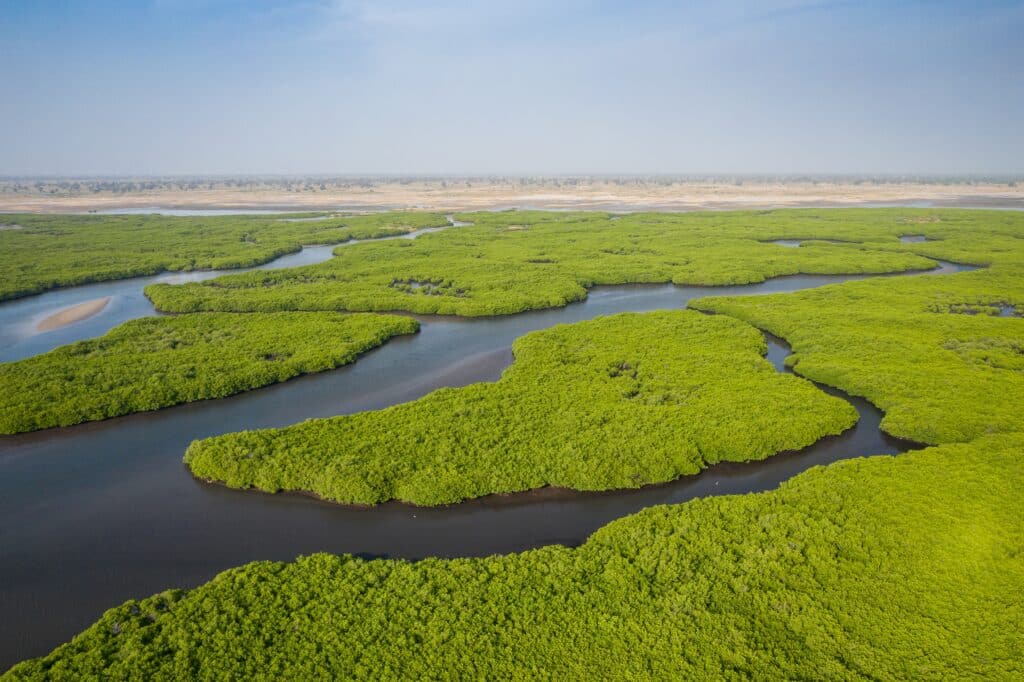 delta sine saloum vu du ciel en ulm senegal