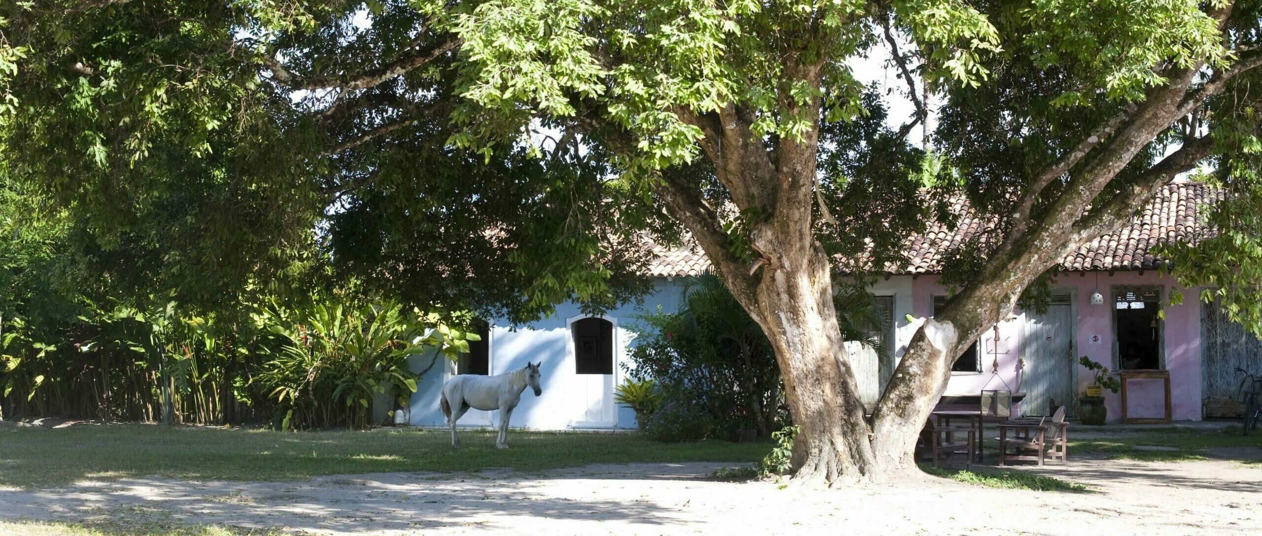 façade des villas colorés Uxua Casa trancoso bahia bresil