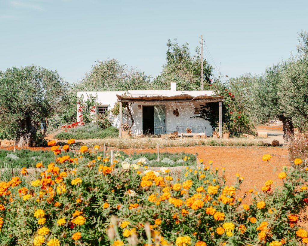 ferme bio à Ibiza baléares