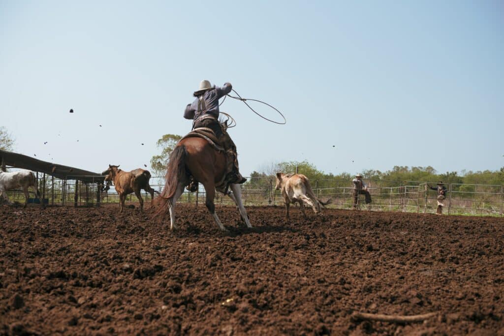 finca gauchos cowboy Uruguay