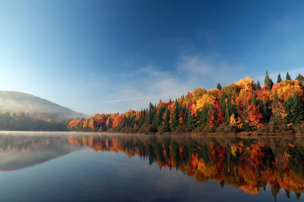 Forêt canadienne en automne, pendant "l'été indien".