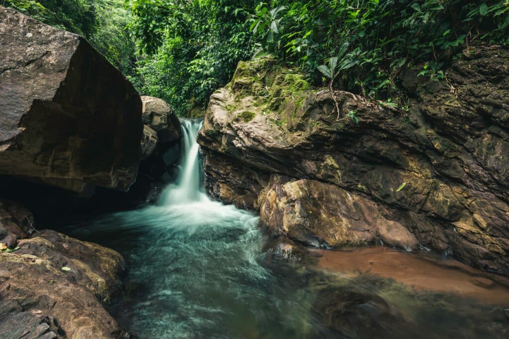 foret tropicale amazonienne perou