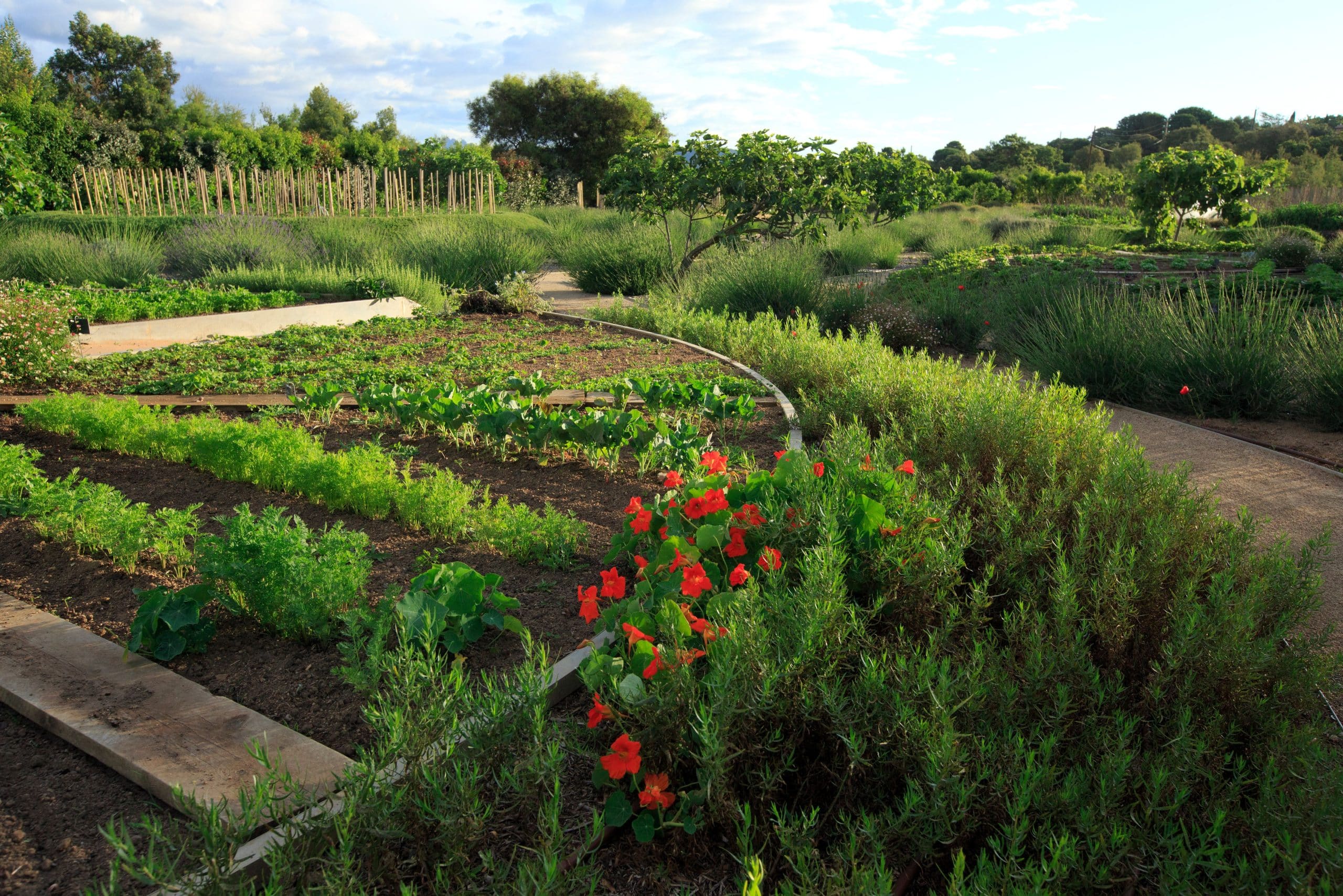 grand hotel de cala rossa potager bio Corse