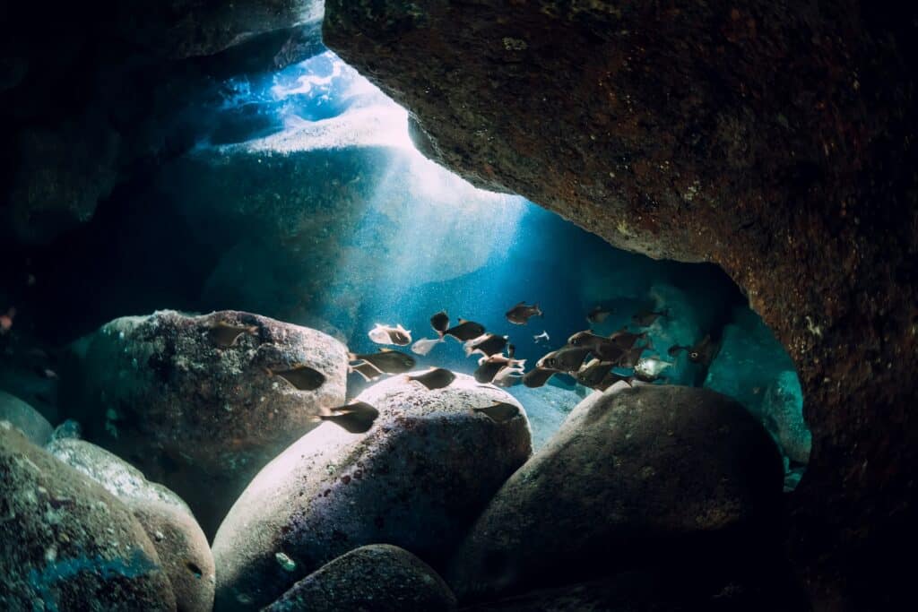 grotte sous marine plongee archipel hawai