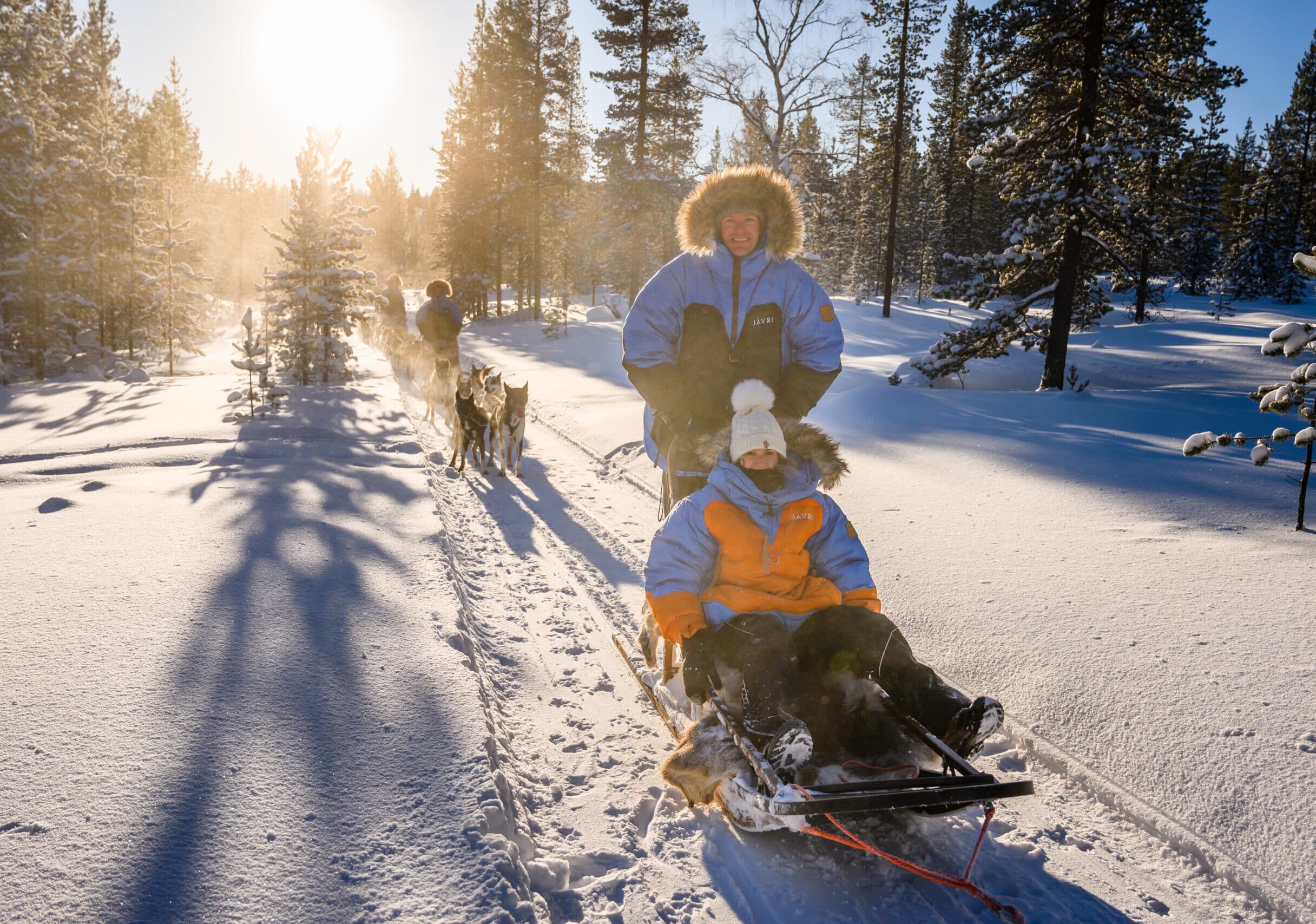 javri hotel laponie finlande activite chien de traineau