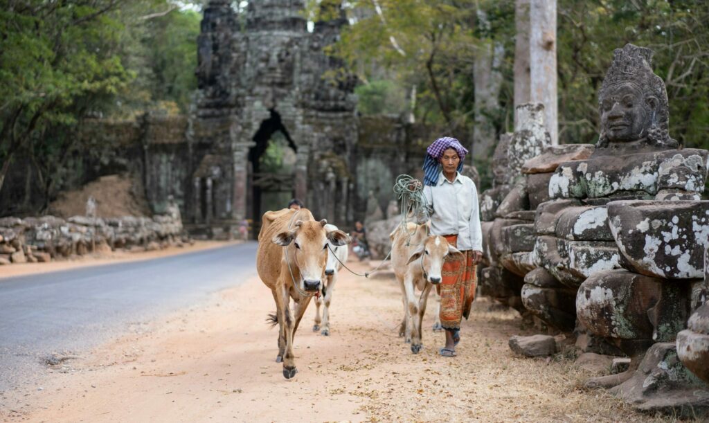 local vache temple Angkor Thom Siam Reap Cambodge
