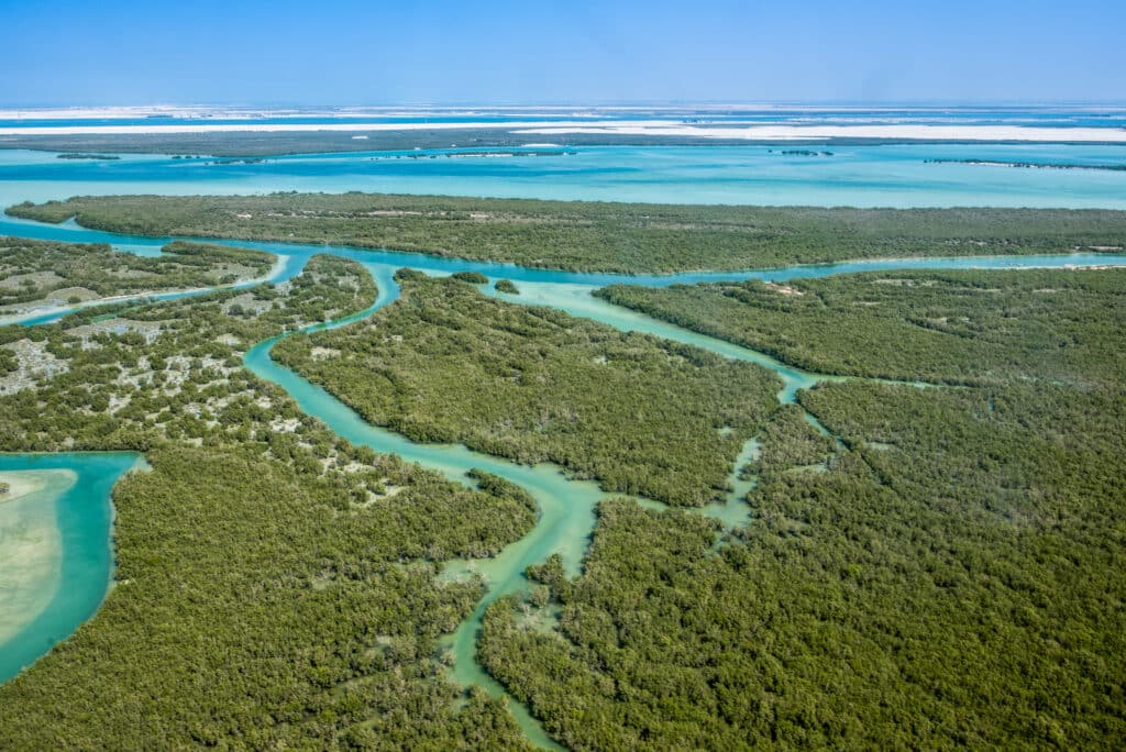 Aerial,Shoot,For,Eastern,Mangrove,In,Abu,Dhabi,,United,Arab