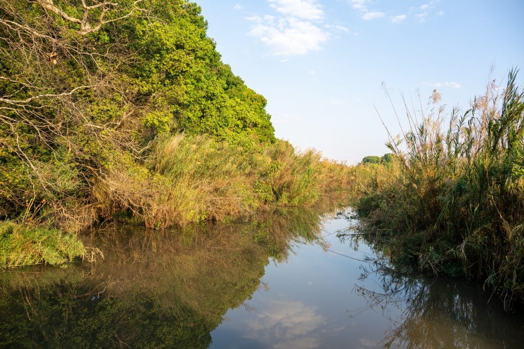 River,In,Kasanka,National,Park,,Zambia
