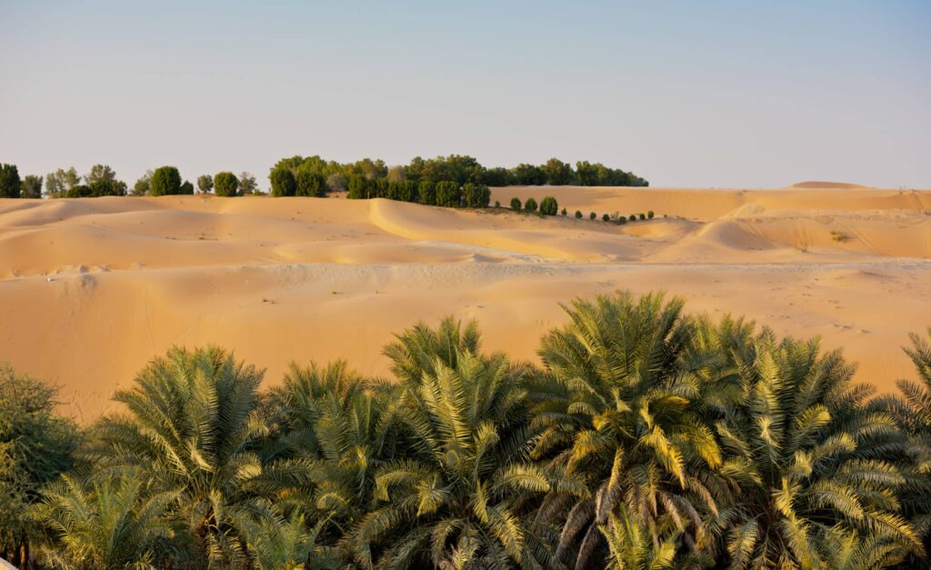 Desert,Dunes,In,Liwa,Oasis,,Abu,Dhabi,,United,Arab,Emirates