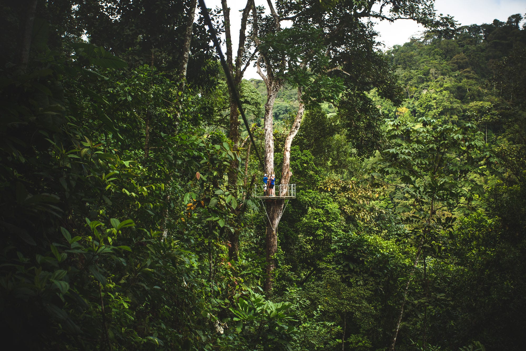 pacuare lodge tirolienne