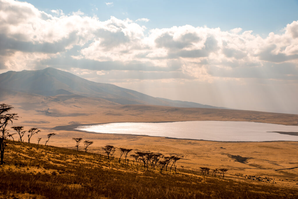 Game,Drive,With,Safari,Car,In,Serengeti,National,Park,In