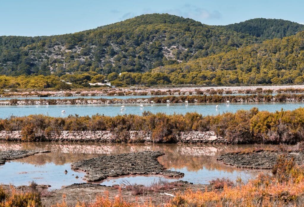 parc naturel des salines à Ibiza