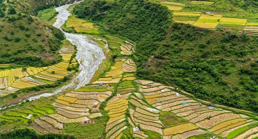 Agricultural,Landscape,In,Rural,Bhutan, ,Eastern,Bhutan