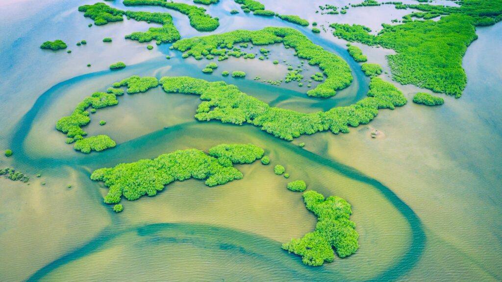 paysage sine saloum mangrove vu du ciel ulm senegal