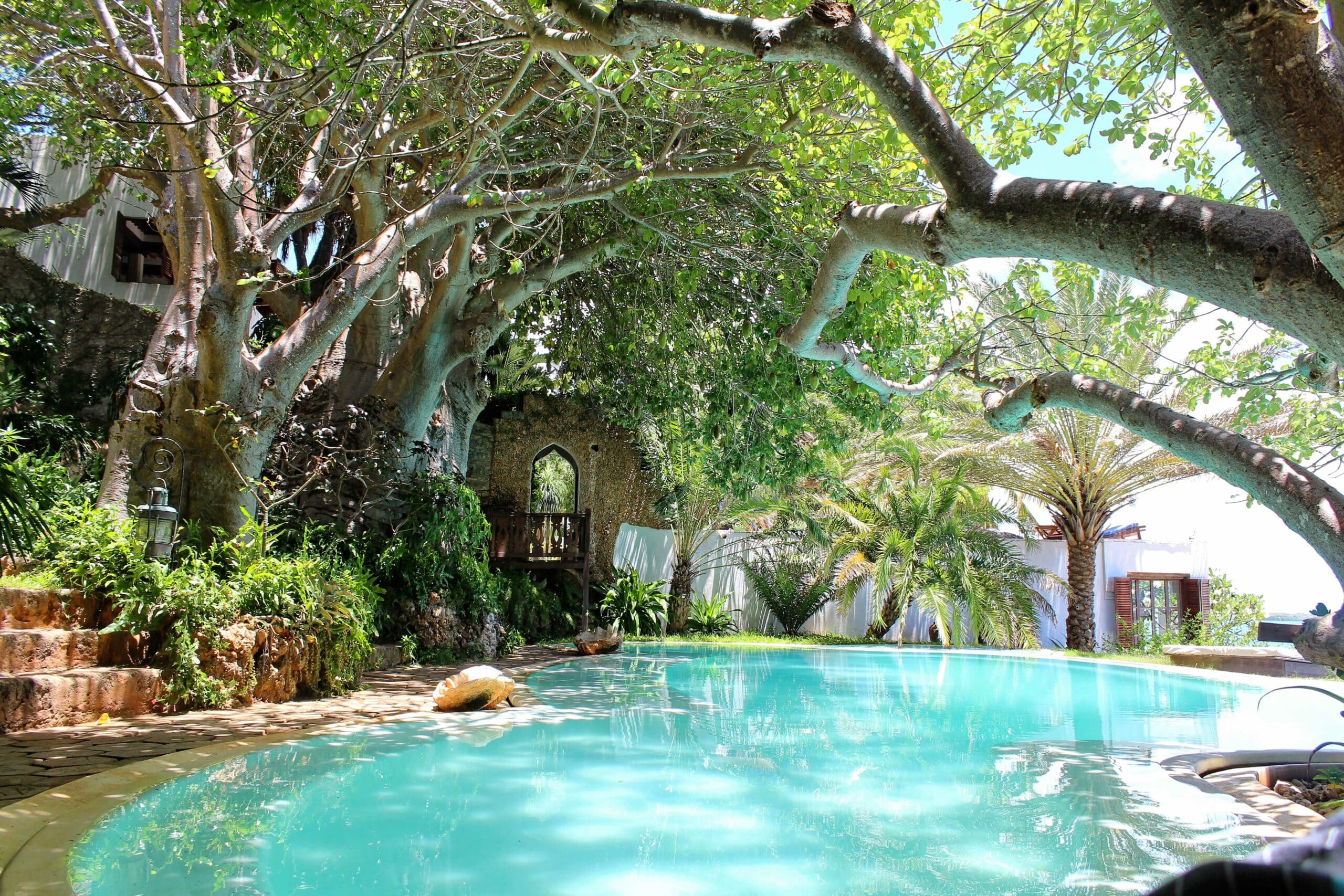 piscine Hotel Peponi Lamu