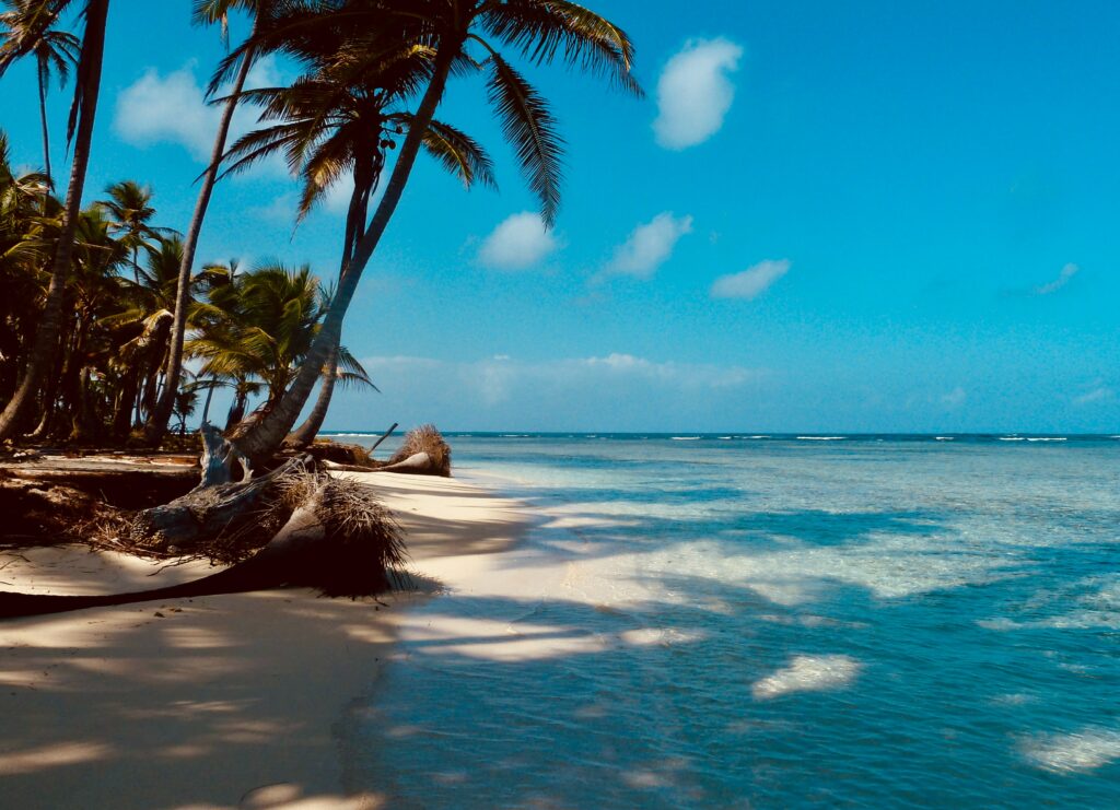plage cocotiers San Blas Islands Panama