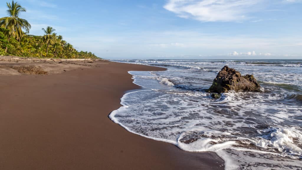 Beach,In,The,Tortuguero,National,Park,In,Costa,Rica