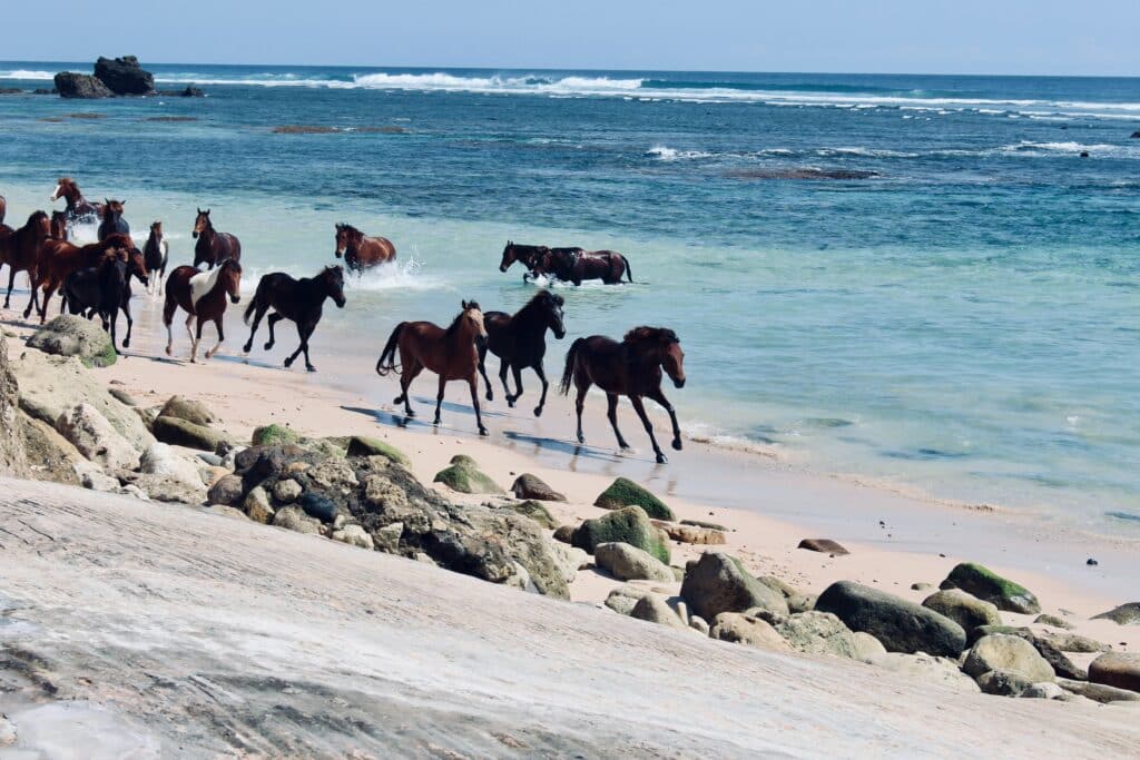 plage ile de Sumba Nusa Tenggara Indonesie