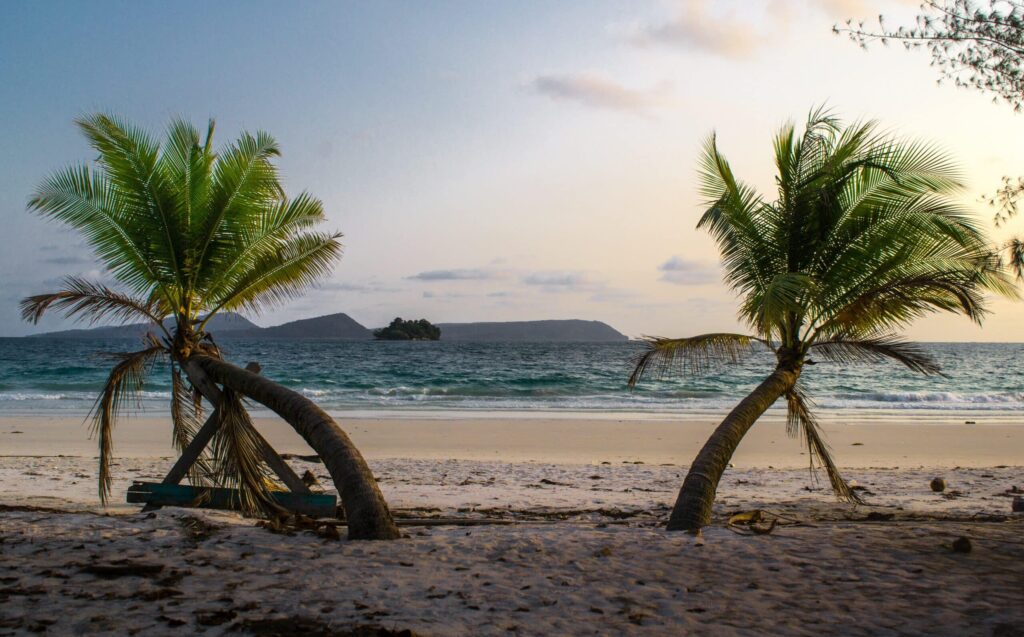 plage palmiers Koh Rong Preah Sihanouk Cambodge