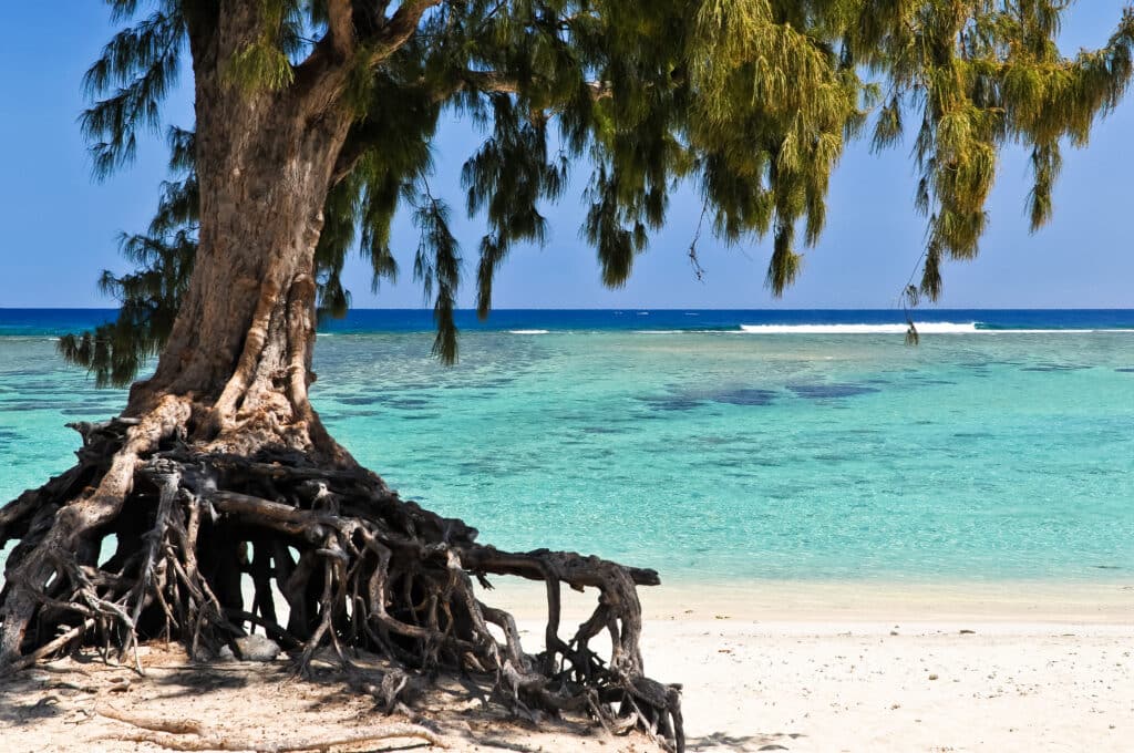 La,Saline,Les,Bains,Beach,,Ile,De,La,Reunion