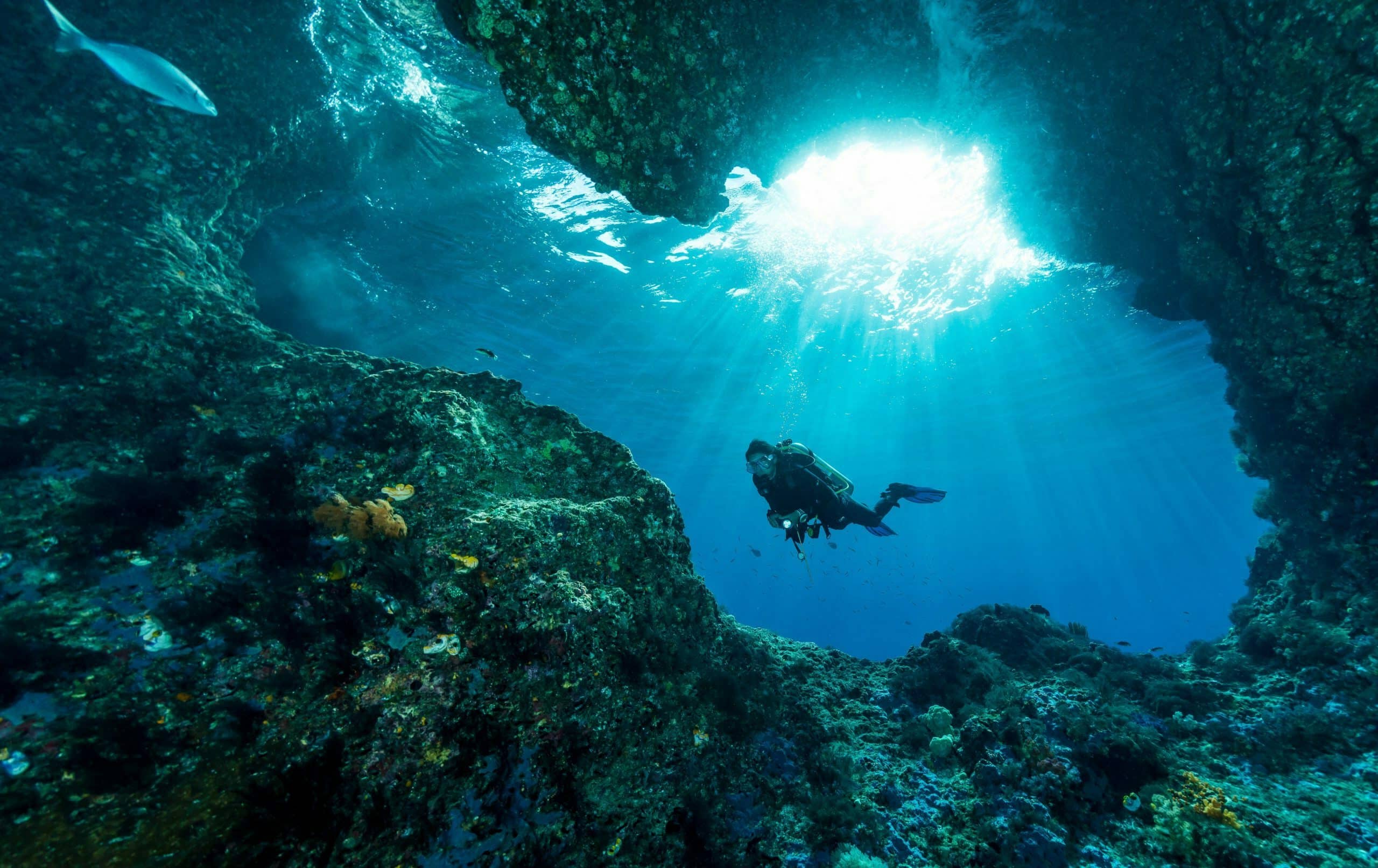 Excursion sous-marine aux Quatre Rois