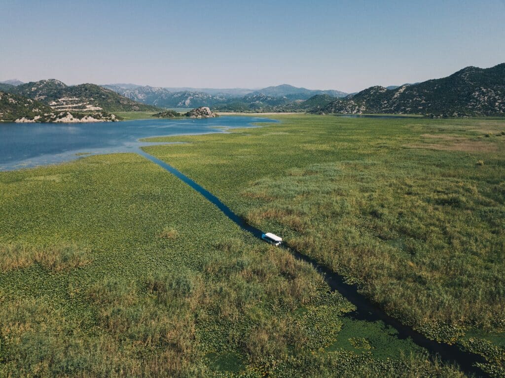 promenade ornithologique au fil de l eau skadar lake montenegro