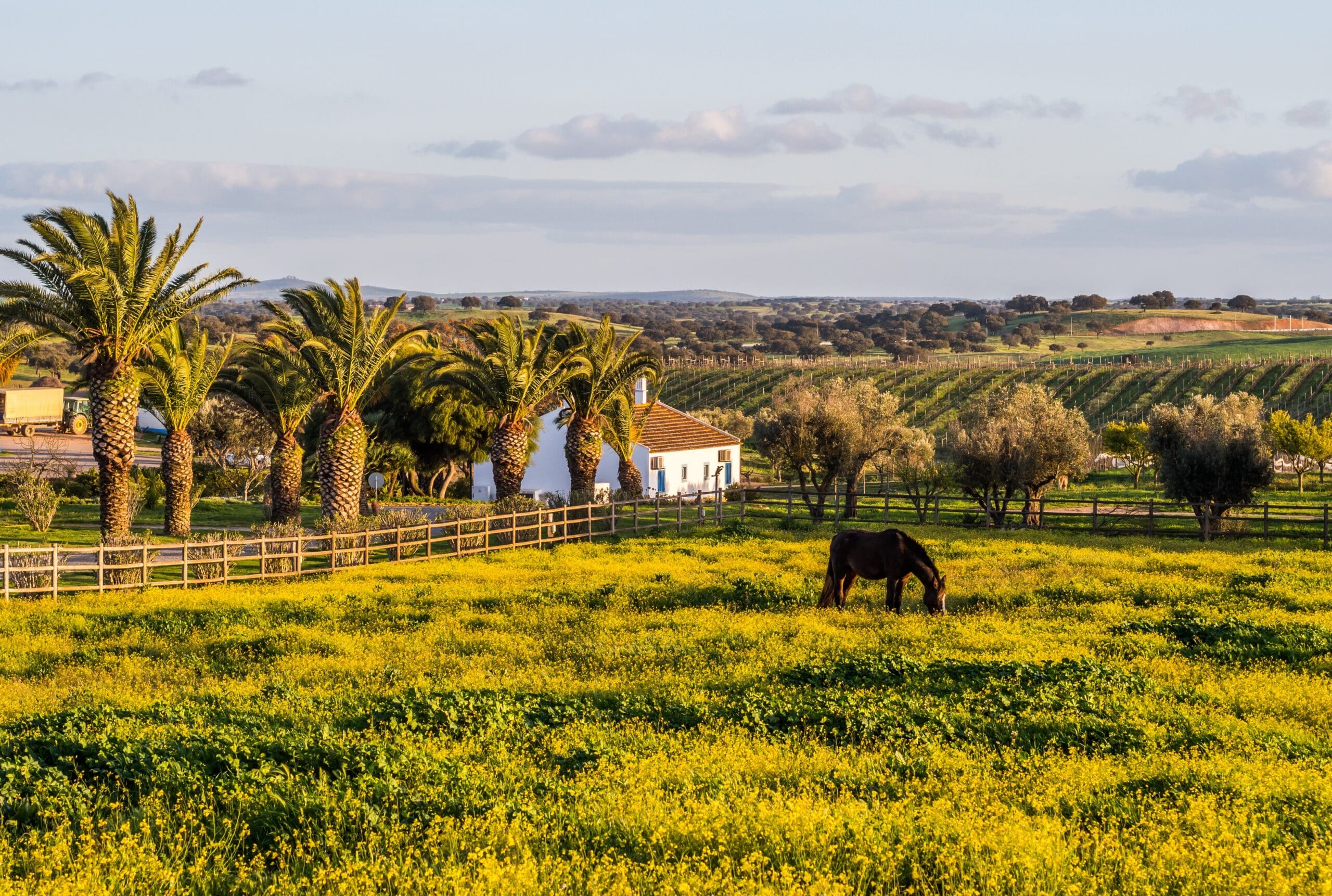 Escapade gourmande dans le sud