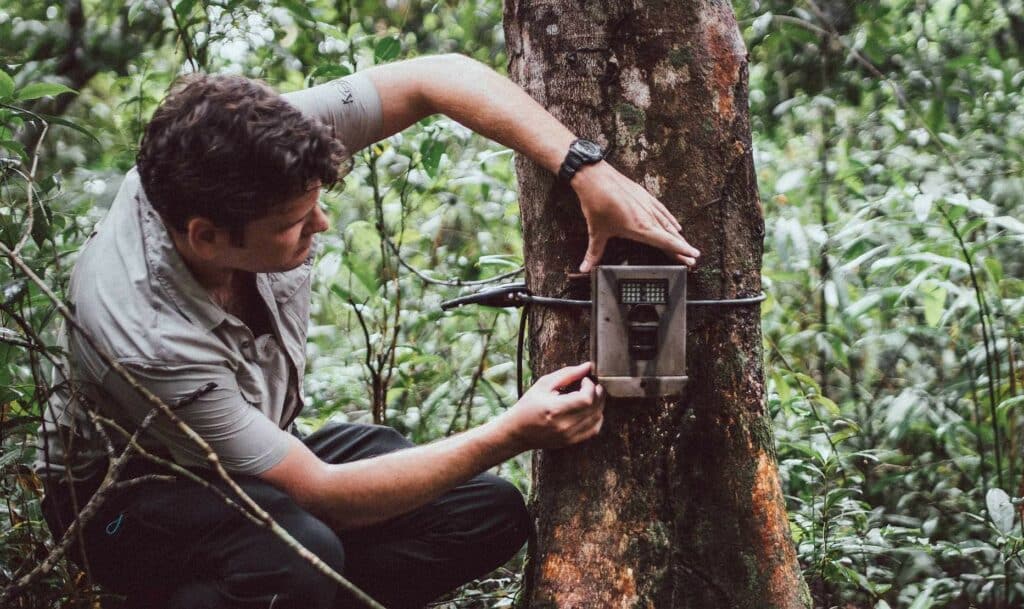 safari camera trapping jungle cambodge