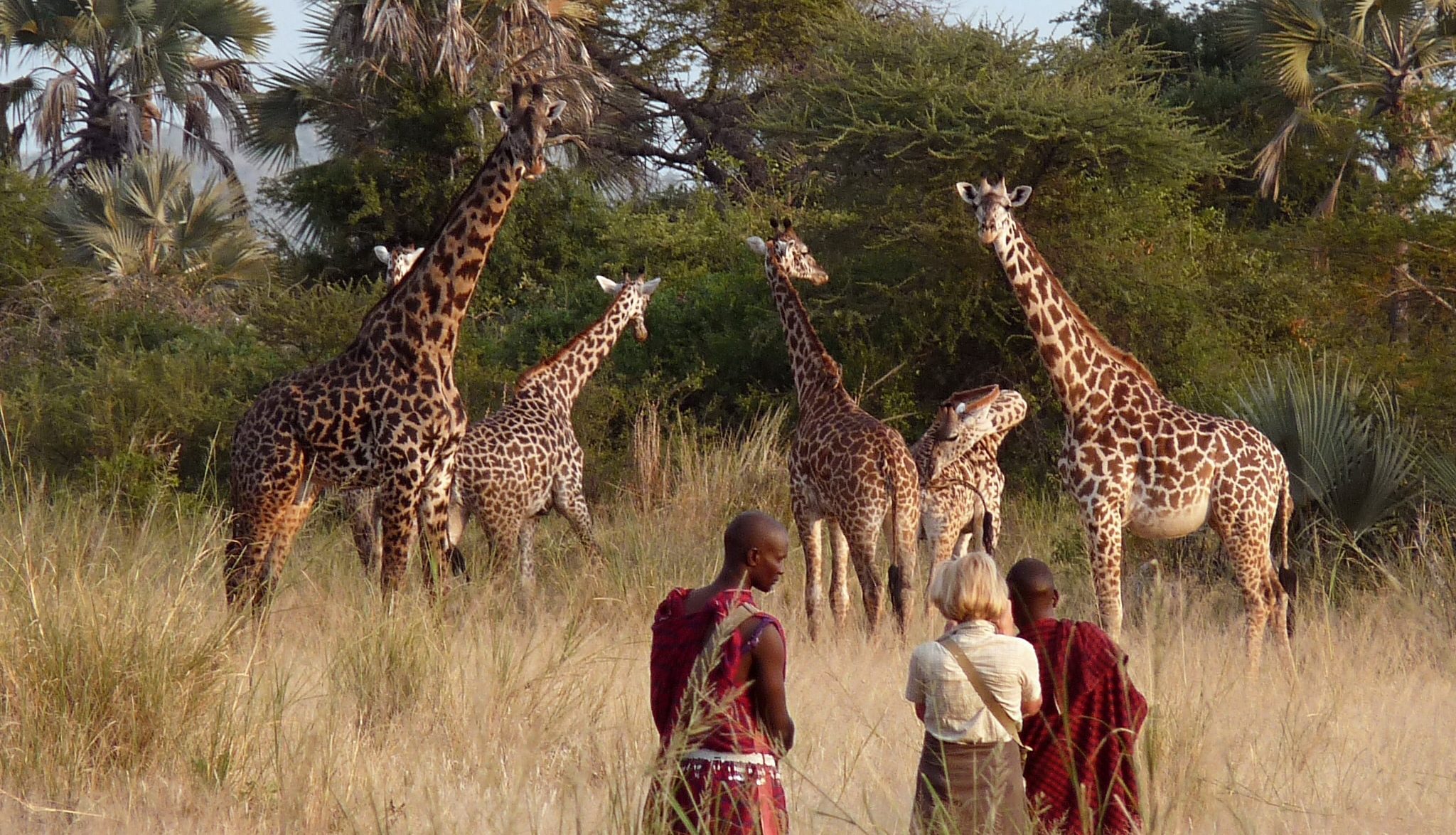 Tanzanie