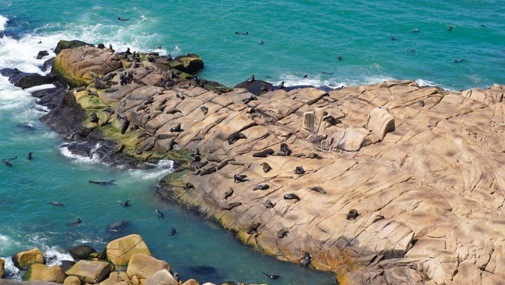 Cabo,Polonio,In,Uruguay